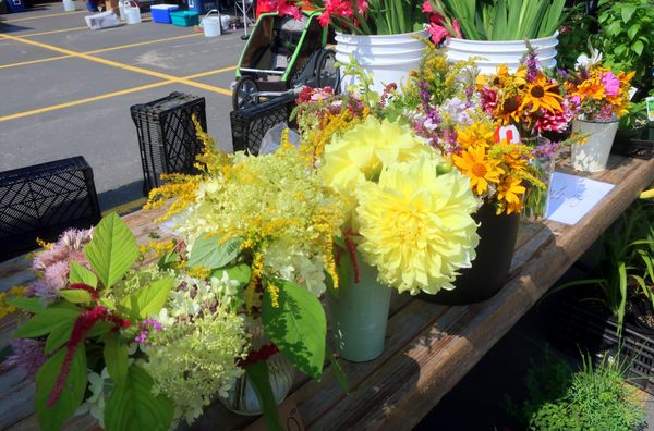 Fredericton Boyce Farmers Market by null