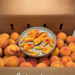 Sodaro Orchards.. yes they are open.. call ahead!