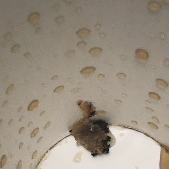 Wendy's - a dirty toilet with a hole in the floor - Burgers Near Me - North Wilkesboro, North Carolina Wendy's - a dirty toilet with a hole in the floor - Burgers Near Me - North Wilkesboro, North Carolina