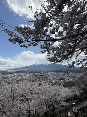 Chureito Pagoda by null