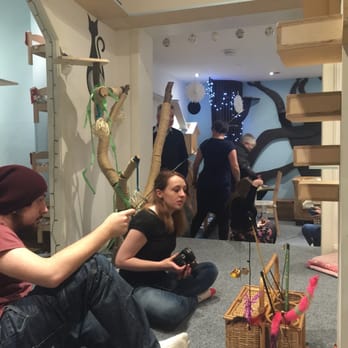 Maison de Moggy - Cafes Near Me - Edinburgh, EDH Maison de Moggy - Cafes Near Me - Edinburgh, EDH
