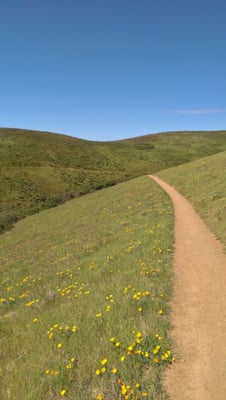 Matt Davis Trail Head by null