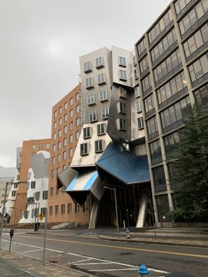 Massachusetts Institute of Technology by null