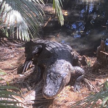 Palm Beach Zoo - Zoos Near Me - West Palm Beach, Florida