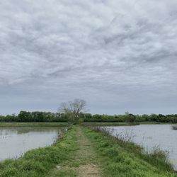 Santa Anna Wildlife Refuge
