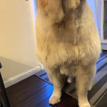PetSmart - Pet Groomers Near Me - Littleton, Colorado PetSmart - Pet Groomers Near Me - Littleton, Colorado
