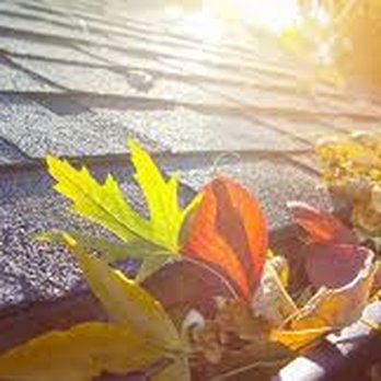 Rapid Home Services - Window Washing Near Me