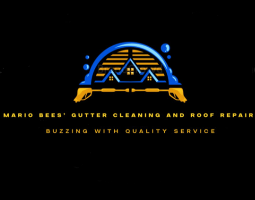 Slide of Mario Bees Gutter Cleaning and Roof Repair