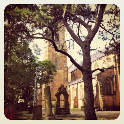 Camperdown Cemetery by null