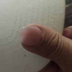 Sea Nails