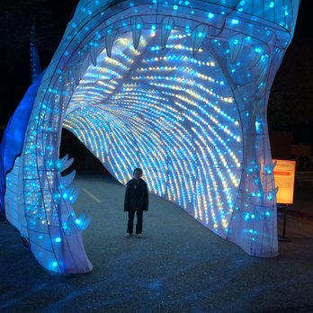 Dragon Lights Albuquerque - Festivals Near Me - Albuquerque, New Mexico