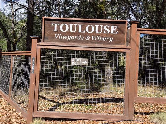 Toulouse Vineyards & Winery by null