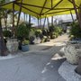 Photo of Amelia's Smarty Plants
