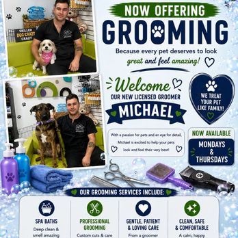 Happy Tails Veterinary Practice - Veterinarians Near Me - Brooklyn, New York Happy Tails Veterinary Practice - Veterinarians Near Me - Brooklyn, New York