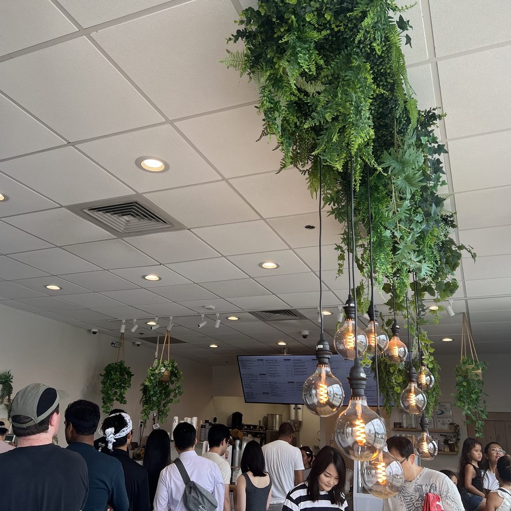 ÜMACHA - Packed - Bubble Tea Near Me - Edgewater, New Jersey ÜMACHA - Packed - Bubble Tea Near Me - Edgewater, New Jersey