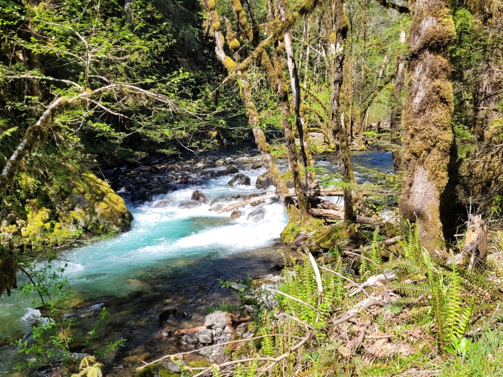BEACON ROCK STAFFING Request Information North Bonneville