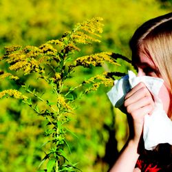 Enticare - Allergy testing and treatment along with sinus management and surgery