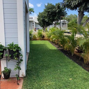 Aloha 'Aina Landscaping - 3 months after - Landscaping Near Me - Waimanalo, Hawaii
