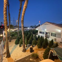 Bruce’s Produce Christmas Trees