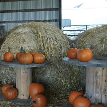 Bailey Family Farm - Indoor barn area - Pick Your Own Farms Near Me - Snohomish, Washington