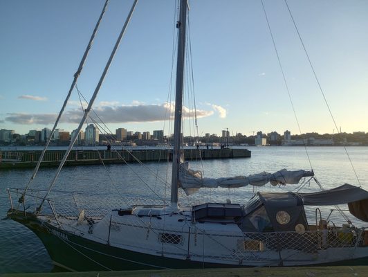 Alderney Landing by null