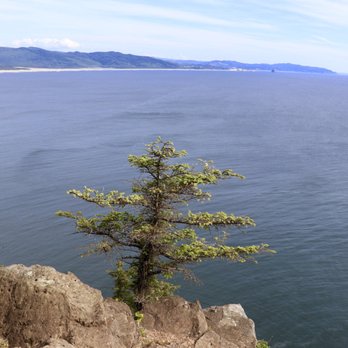 Cape Lookout State Park - Parks Near Me - Tillamook, Oregon Cape Lookout State Park - Parks Near Me - Tillamook, Oregon