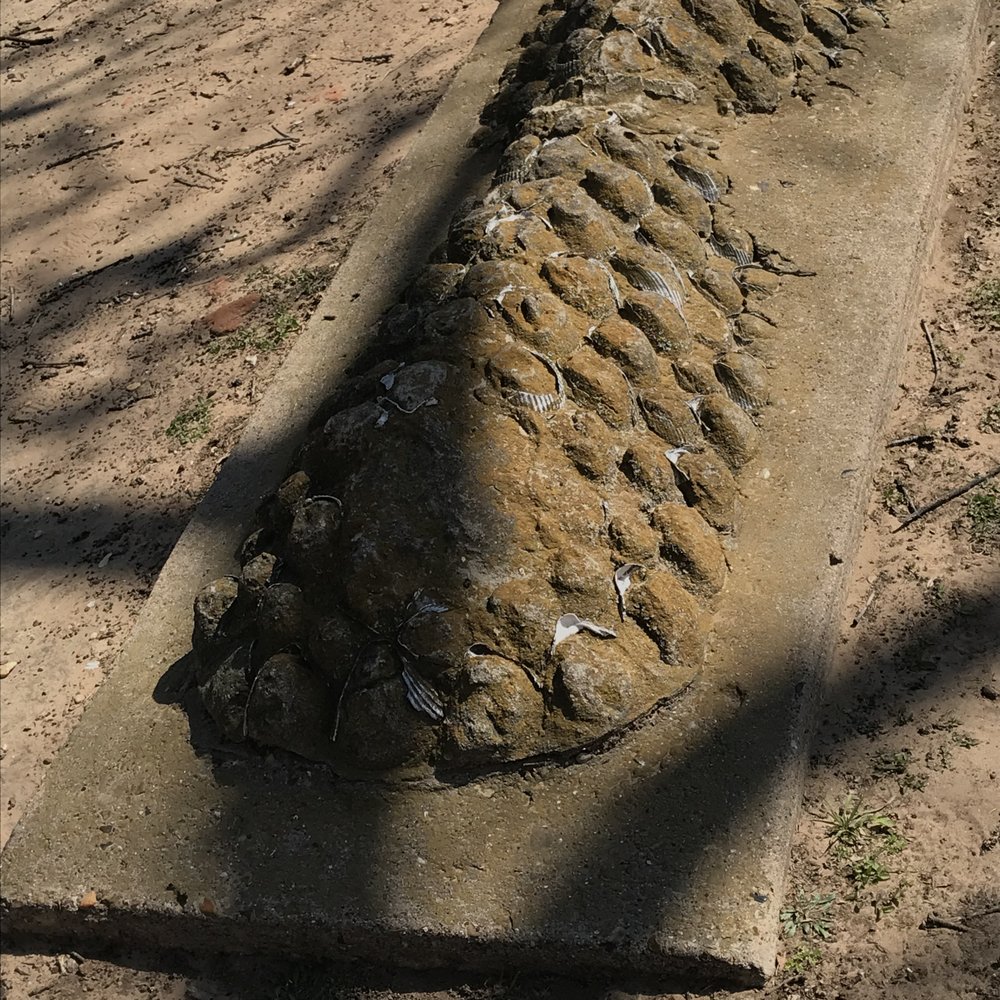 Pioneer Cemetery - Funeral Services & Cemeteries Near Me - Dallas, Texas Pioneer Cemetery - Funeral Services & Cemeteries Near Me - Dallas, Texas