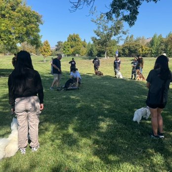 All Purpose Canine - Free weekend group classes. - Pet Training Near Me - Fremont, California All Purpose Canine - Free weekend group classes. - Pet Training Near Me - Fremont, California