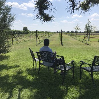 Becker Vineyards - Wine Tasting Room Near Me - Fredericksburg, Texas Becker Vineyards - Wine Tasting Room Near Me - Fredericksburg, Texas