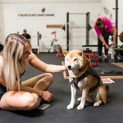 Silverback Strength and Conditioning