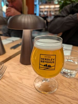 Aamanns 1921 by null