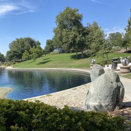 the pond