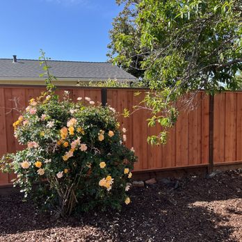 Ergeon - Fences & Gates Near Me - Oakland, California Ergeon - Fences & Gates Near Me - Oakland, California
