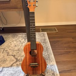 Koaloha Ukulele - Its a thing of beauty...