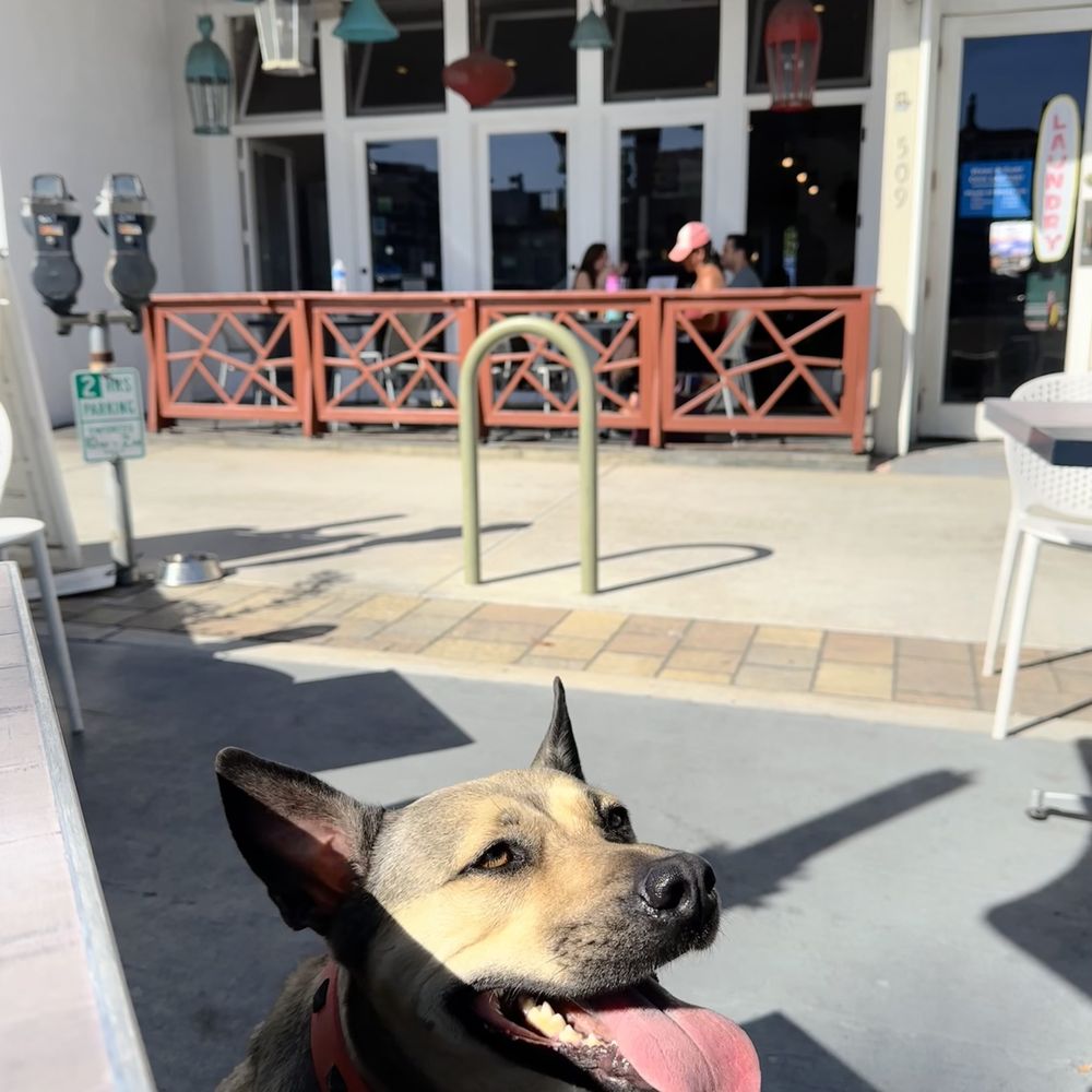 The Source Cafe - Pet friendly - Juice Bars & Smoothies Near Me - Hermosa Beach, California The Source Cafe - Pet friendly - Juice Bars & Smoothies Near Me - Hermosa Beach, California