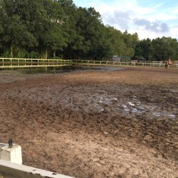 A bit muddy lately A bit muddy lately