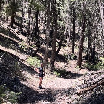 Thousand Mile Canyon Trail - Hiking Near Me - Alamogordo, New Mexico