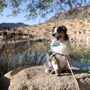Hesperia Dog