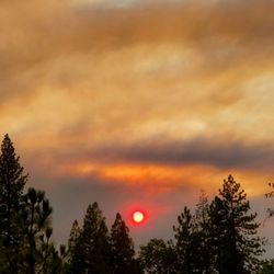 WorldMark Bass Lake - Smoke from the oak fire.