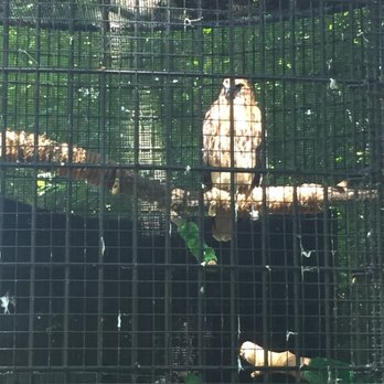 DuPage Wildlife Conservation Center - Zoos Near Me - Glen Ellyn, Illinois DuPage Wildlife Conservation Center - Zoos Near Me - Glen Ellyn, Illinois