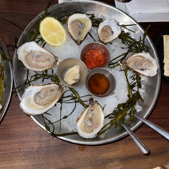 Square Grouper - Islamorada - Oysters - Seafood Near Me - Islamorada, Florida