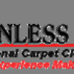 Stainless Steemer Carpet Cleaning