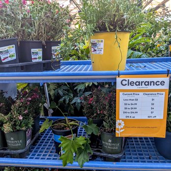 Lowe's Home Improvement - clearance plants - Hardware Stores Near Me - San Bruno, California Lowe's Home Improvement - clearance plants - Hardware Stores Near Me - San Bruno, California