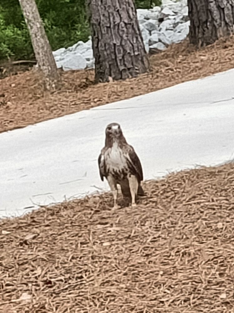 Slide of Mateo Roofing