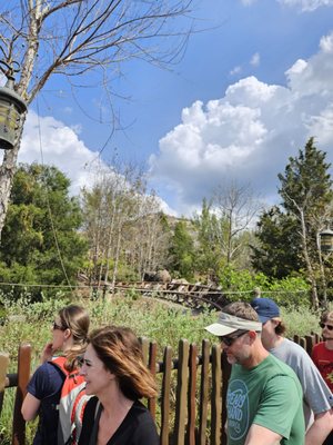 Seven Dwarfs Mine Train by null
