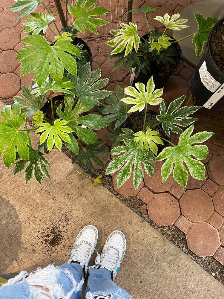 BANNER NURSERY & GARDEN CENTER 34 Photos & 23 Reviews 4400 Monroe