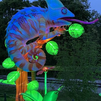 Wild Lights - Festivals Near Me - Louisville, Kentucky Wild Lights - Festivals Near Me - Louisville, Kentucky