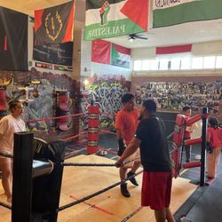 International Boxing Institute