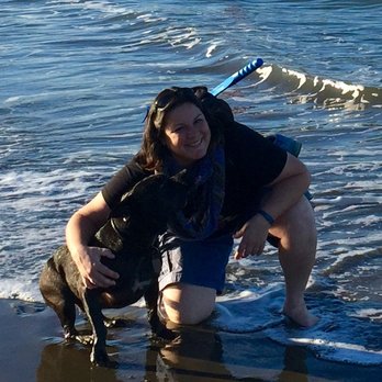 Kai's Critter Kamp - Kai and I at the beach - Dog Walkers Near Me Kai's Critter Kamp - Kai and I at the beach - Dog Walkers Near Me