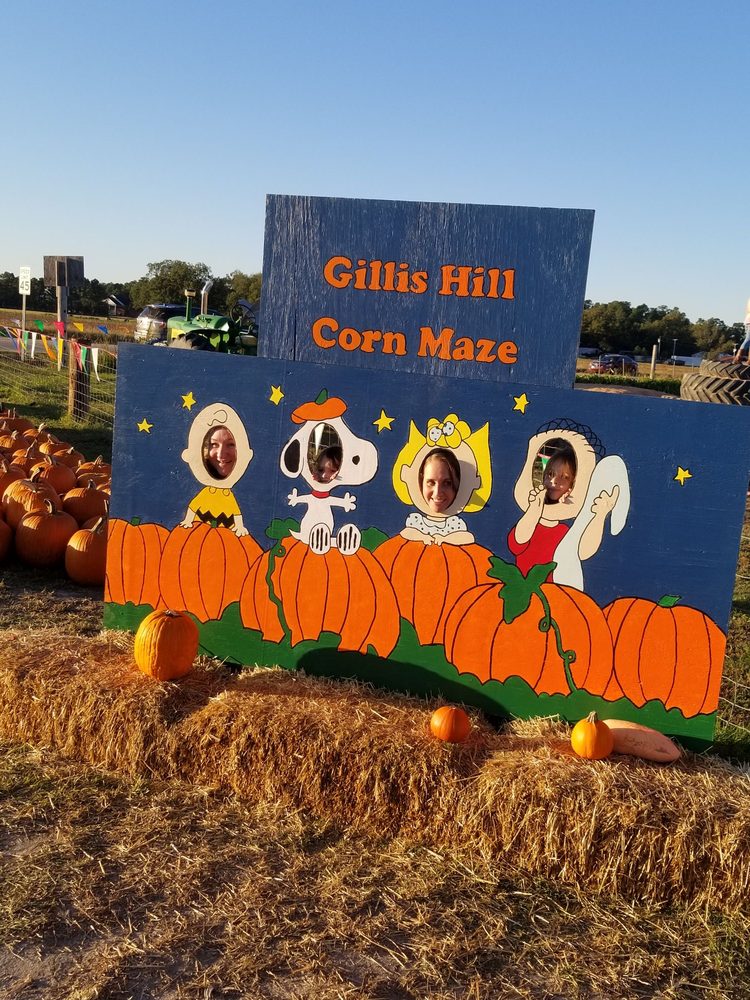 GILLIS HILL ROAD PRODUCE 2899 Gillis Hill Rd, Fayetteville, North Carolina Farmers Market